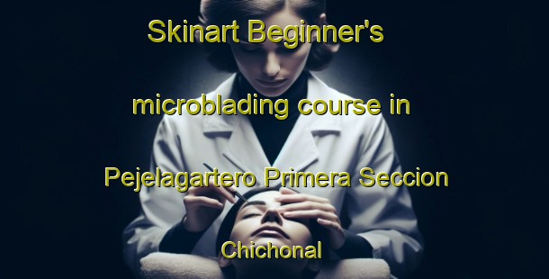 Skinart Beginner's microblading course in Pejelagartero Primera Seccion Chichonal | #MicrobladingTraining #MicrobladingClasses #SkinartTraining-Mexico