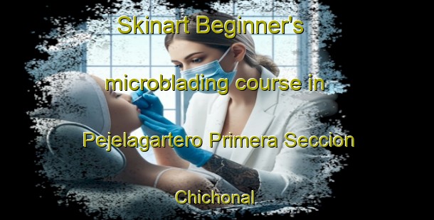 Skinart Beginner's microblading course in Pejelagartero Primera Seccion Chichonal | #MicrobladingTraining #MicrobladingClasses #SkinartTraining-Mexico