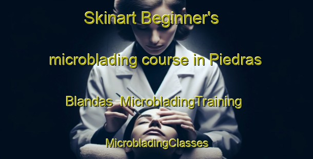 Skinart Beginner's microblading course in Piedras Blandas | #MicrobladingTraining #MicrobladingClasses #SkinartTraining-Mexico