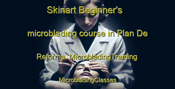 Skinart Beginner's microblading course in Plan De Reforma | #MicrobladingTraining #MicrobladingClasses #SkinartTraining-Mexico