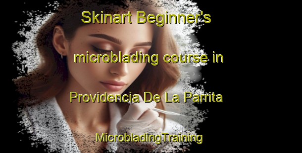 Skinart Beginner's microblading course in Providencia De La Parrita | #MicrobladingTraining #MicrobladingClasses #SkinartTraining-Mexico