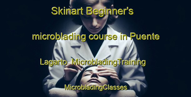 Skinart Beginner's microblading course in Puente Lagarto | #MicrobladingTraining #MicrobladingClasses #SkinartTraining-Mexico