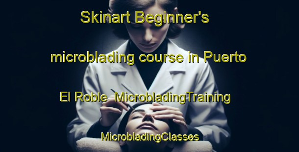 Skinart Beginner's microblading course in Puerto El Roble | #MicrobladingTraining #MicrobladingClasses #SkinartTraining-Mexico