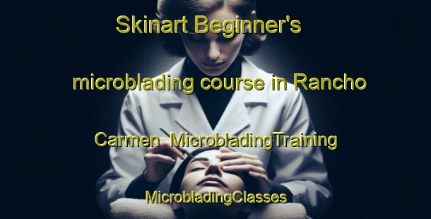 Skinart Beginner's microblading course in Rancho Carmen | #MicrobladingTraining #MicrobladingClasses #SkinartTraining-Mexico