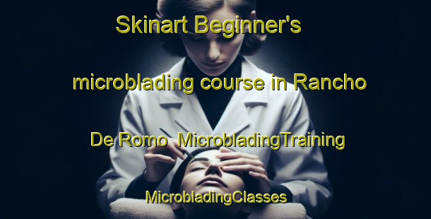 Skinart Beginner's microblading course in Rancho De Romo | #MicrobladingTraining #MicrobladingClasses #SkinartTraining-Mexico