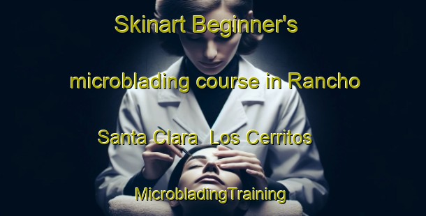 Skinart Beginner's microblading course in Rancho Santa Clara  Los Cerritos | #MicrobladingTraining #MicrobladingClasses #SkinartTraining-Mexico