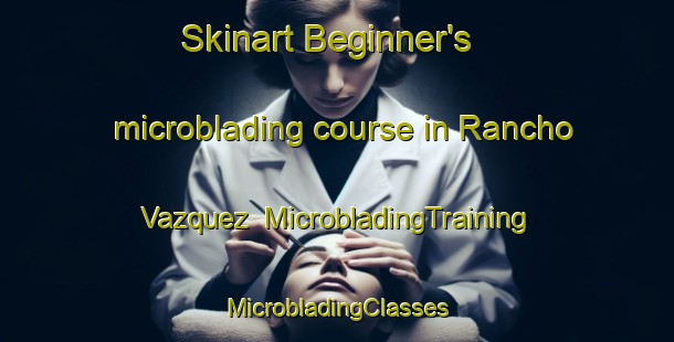 Skinart Beginner's microblading course in Rancho Vazquez | #MicrobladingTraining #MicrobladingClasses #SkinartTraining-Mexico