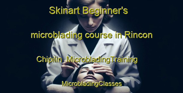 Skinart Beginner's microblading course in Rincon Chipilin | #MicrobladingTraining #MicrobladingClasses #SkinartTraining-Mexico