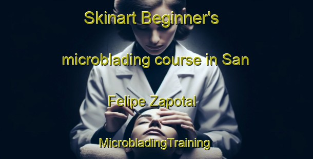 Skinart Beginner's microblading course in San Felipe Zapotal | #MicrobladingTraining #MicrobladingClasses #SkinartTraining-Mexico