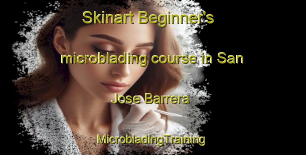 Skinart Beginner's microblading course in San Jose Barrera | #MicrobladingTraining #MicrobladingClasses #SkinartTraining-Mexico