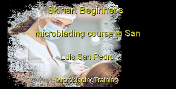 Skinart Beginner's microblading course in San Luis San Pedro | #MicrobladingTraining #MicrobladingClasses #SkinartTraining-Mexico