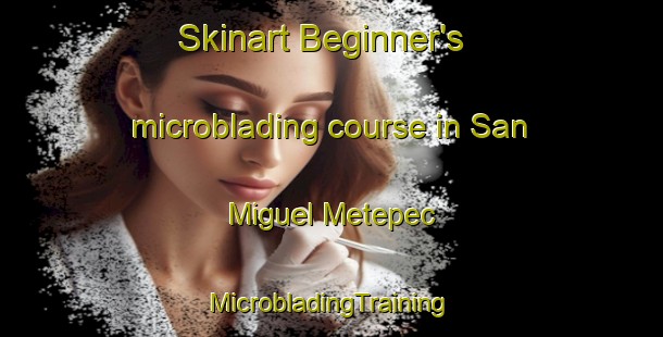 Skinart Beginner's microblading course in San Miguel Metepec | #MicrobladingTraining #MicrobladingClasses #SkinartTraining-Mexico