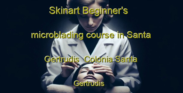 Skinart Beginner's microblading course in Santa Gertrudis  Colonia Santa Gertrudis | #MicrobladingTraining #MicrobladingClasses #SkinartTraining-Mexico