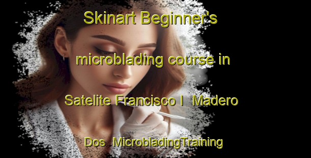 Skinart Beginner's microblading course in Satelite Francisco I  Madero Dos | #MicrobladingTraining #MicrobladingClasses #SkinartTraining-Mexico