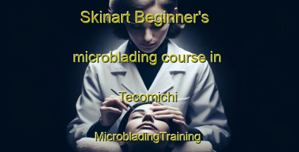 Skinart Beginner's microblading course in Tecomichi | #MicrobladingTraining #MicrobladingClasses #SkinartTraining-Mexico