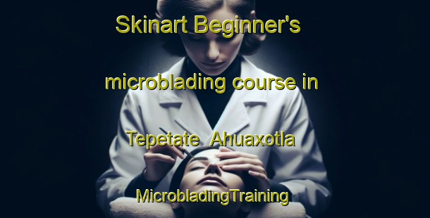 Skinart Beginner's microblading course in Tepetate  Ahuaxotla | #MicrobladingTraining #MicrobladingClasses #SkinartTraining-Mexico