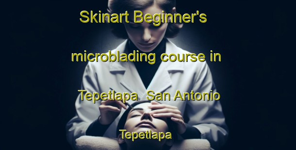 Skinart Beginner's microblading course in Tepetlapa  San Antonio Tepetlapa | #MicrobladingTraining #MicrobladingClasses #SkinartTraining-Mexico