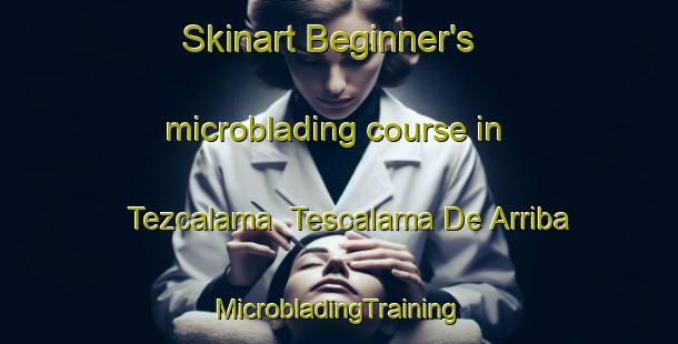 Skinart Beginner's microblading course in Tezcalama  Tescalama De Arriba | #MicrobladingTraining #MicrobladingClasses #SkinartTraining-Mexico