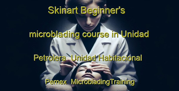 Skinart Beginner's microblading course in Unidad Petrolera  Unidad Habitacional Pemex | #MicrobladingTraining #MicrobladingClasses #SkinartTraining-Mexico