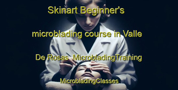 Skinart Beginner's microblading course in Valle De Rosas | #MicrobladingTraining #MicrobladingClasses #SkinartTraining-Mexico