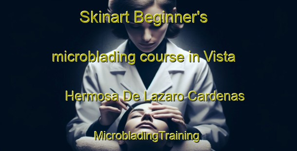 Skinart Beginner's microblading course in Vista Hermosa De Lazaro Cardenas | #MicrobladingTraining #MicrobladingClasses #SkinartTraining-Mexico