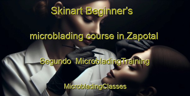 Skinart Beginner's microblading course in Zapotal Segundo | #MicrobladingTraining #MicrobladingClasses #SkinartTraining-Mexico