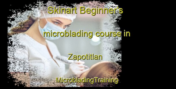 Skinart Beginner's microblading course in Zapotitlan | #MicrobladingTraining #MicrobladingClasses #SkinartTraining-Mexico