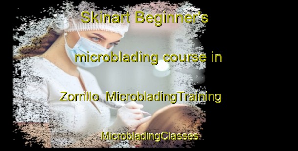 Skinart Beginner's microblading course in Zorrillo | #MicrobladingTraining #MicrobladingClasses #SkinartTraining-Mexico