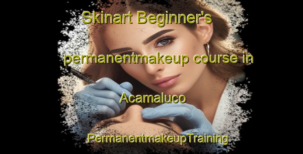 Skinart Beginner's permanentmakeup course in Acamaluco | #PermanentmakeupTraining #PermanentmakeupClasses #SkinartTraining-Mexico