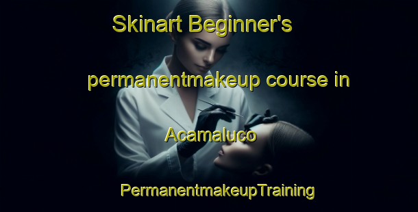 Skinart Beginner's permanentmakeup course in Acamaluco | #PermanentmakeupTraining #PermanentmakeupClasses #SkinartTraining-Mexico