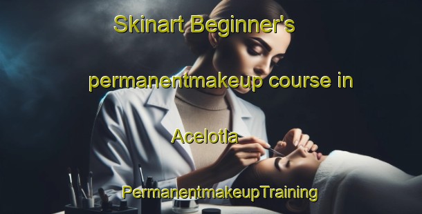 Skinart Beginner's permanentmakeup course in Acelotla | #PermanentmakeupTraining #PermanentmakeupClasses #SkinartTraining-Mexico