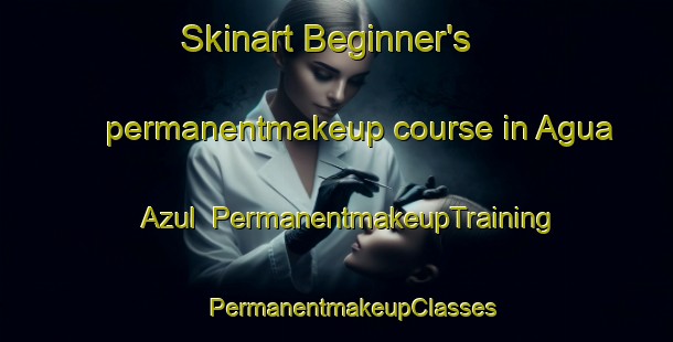 Skinart Beginner's permanentmakeup course in Agua Azul | #PermanentmakeupTraining #PermanentmakeupClasses #SkinartTraining-Mexico