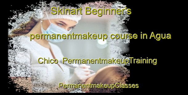 Skinart Beginner's permanentmakeup course in Agua Chico | #PermanentmakeupTraining #PermanentmakeupClasses #SkinartTraining-Mexico