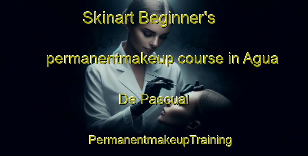 Skinart Beginner's permanentmakeup course in Agua De Pascual | #PermanentmakeupTraining #PermanentmakeupClasses #SkinartTraining-Mexico