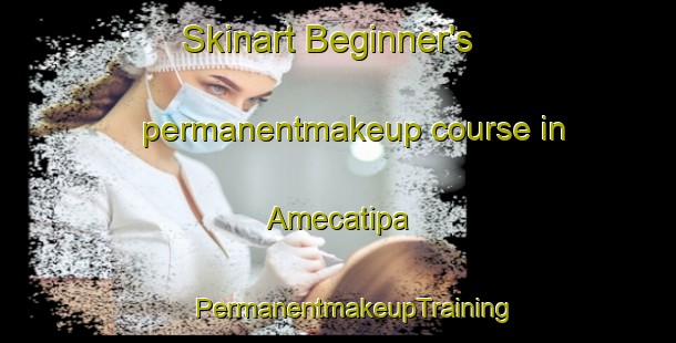 Skinart Beginner's permanentmakeup course in Amecatipa | #PermanentmakeupTraining #PermanentmakeupClasses #SkinartTraining-Mexico