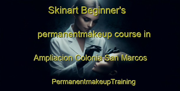 Skinart Beginner's permanentmakeup course in Ampliacion Colonia San Marcos | #PermanentmakeupTraining #PermanentmakeupClasses #SkinartTraining-Mexico