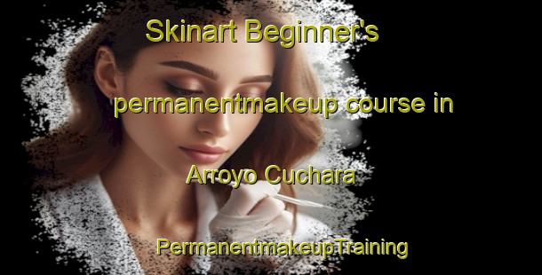 Skinart Beginner's permanentmakeup course in Arroyo Cuchara | #PermanentmakeupTraining #PermanentmakeupClasses #SkinartTraining-Mexico