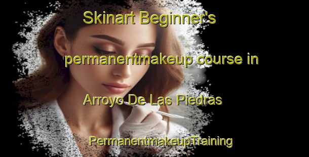 Skinart Beginner's permanentmakeup course in Arroyo De Las Piedras | #PermanentmakeupTraining #PermanentmakeupClasses #SkinartTraining-Mexico