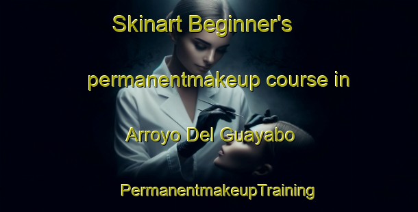 Skinart Beginner's permanentmakeup course in Arroyo Del Guayabo | #PermanentmakeupTraining #PermanentmakeupClasses #SkinartTraining-Mexico