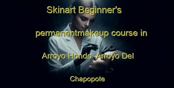 Skinart Beginner's permanentmakeup course in Arroyo Hondo  Arroyo Del Chapopote | #PermanentmakeupTraining #PermanentmakeupClasses #SkinartTraining-Mexico