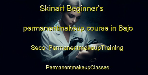 Skinart Beginner's permanentmakeup course in Bajo Seco | #PermanentmakeupTraining #PermanentmakeupClasses #SkinartTraining-Mexico