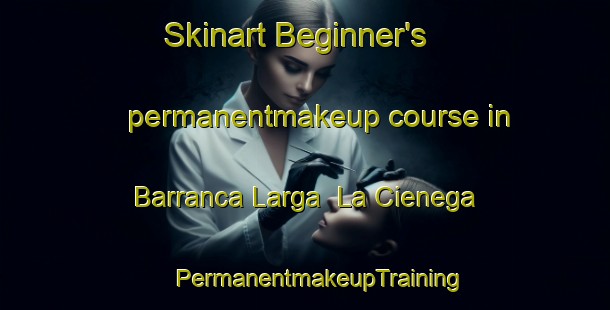 Skinart Beginner's permanentmakeup course in Barranca Larga  La Cienega | #PermanentmakeupTraining #PermanentmakeupClasses #SkinartTraining-Mexico