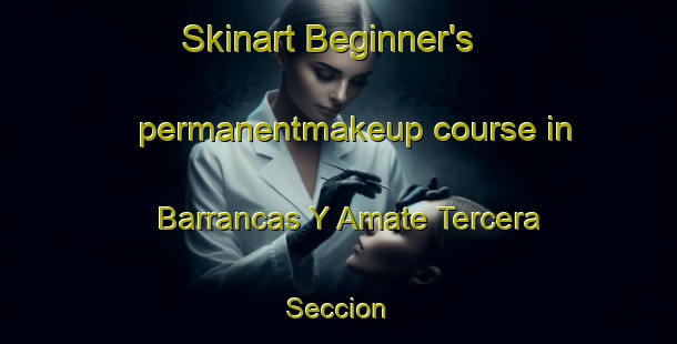 Skinart Beginner's permanentmakeup course in Barrancas Y Amate Tercera Seccion | #PermanentmakeupTraining #PermanentmakeupClasses #SkinartTraining-Mexico