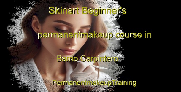 Skinart Beginner's permanentmakeup course in Barrio Carpintero | #PermanentmakeupTraining #PermanentmakeupClasses #SkinartTraining-Mexico