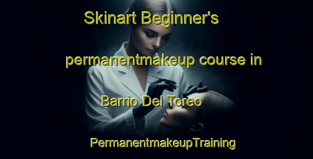 Skinart Beginner's permanentmakeup course in Barrio Del Toreo | #PermanentmakeupTraining #PermanentmakeupClasses #SkinartTraining-Mexico