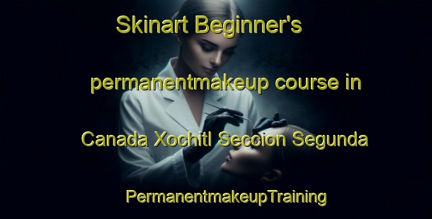 Skinart Beginner's permanentmakeup course in Canada Xochitl Seccion Segunda | #PermanentmakeupTraining #PermanentmakeupClasses #SkinartTraining-Mexico