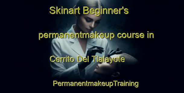 Skinart Beginner's permanentmakeup course in Cerrito Del Tlalayote | #PermanentmakeupTraining #PermanentmakeupClasses #SkinartTraining-Mexico