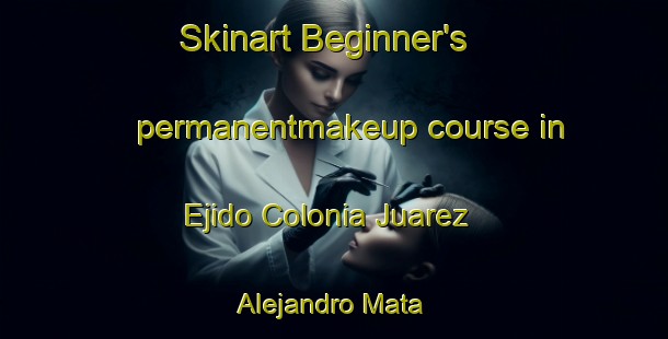 Skinart Beginner's permanentmakeup course in Ejido Colonia Juarez  Alejandro Mata | #PermanentmakeupTraining #PermanentmakeupClasses #SkinartTraining-Mexico