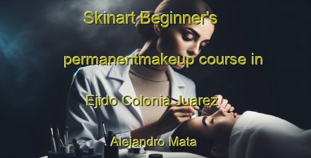 Skinart Beginner's permanentmakeup course in Ejido Colonia Juarez  Alejandro Mata | #PermanentmakeupTraining #PermanentmakeupClasses #SkinartTraining-Mexico