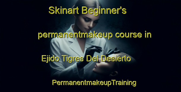 Skinart Beginner's permanentmakeup course in Ejido Tigres Del Desierto | #PermanentmakeupTraining #PermanentmakeupClasses #SkinartTraining-Mexico